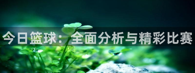  今日篮球：全面分析与精彩比赛