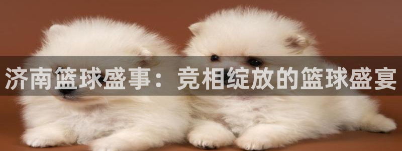 济南篮球盛事：竞相绽放的篮球盛宴