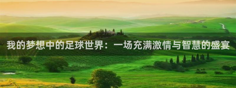  我的梦想中的足球世界：一场充满激情与智慧的盛宴