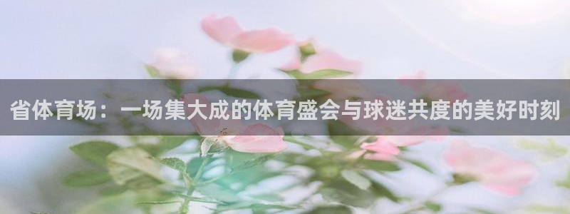  省体育场：一场集大成的体育盛会与球迷共度的美好时刻