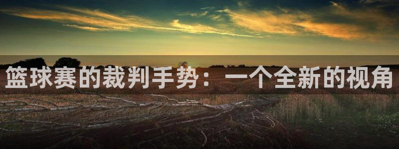 篮球赛的裁判手势：一个全新的视角