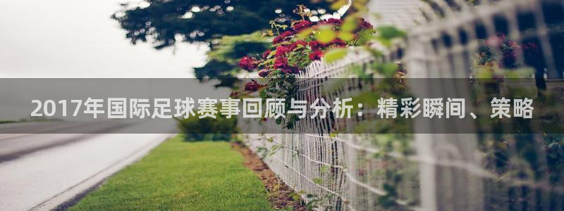  2017年国际足球赛事回顾与分析：精彩瞬间、策略