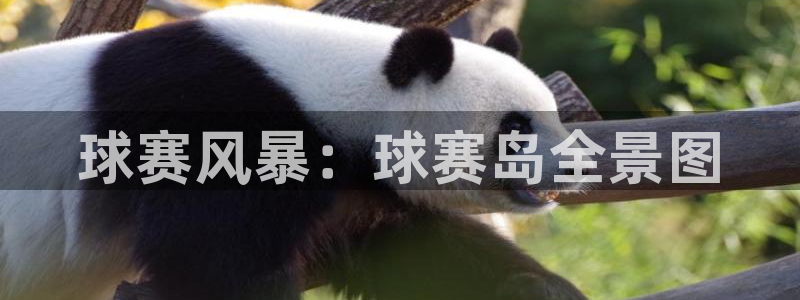 星空体育最新：球赛风暴：球赛岛全景图