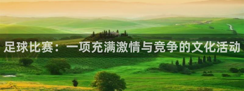 星空体育首页：足球比赛：一项充满激情