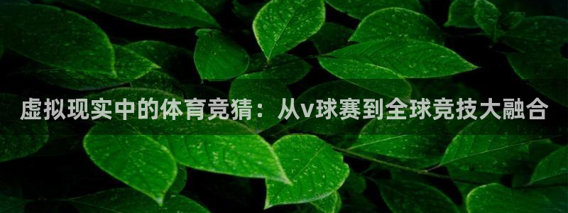 星空体育官网在线：虚拟现实中的体育竞猜：从v球赛到全球竞技大