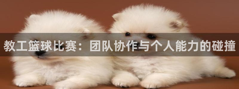  星空体育网址：教工篮球比赛：团队协作与个人能力的碰撞