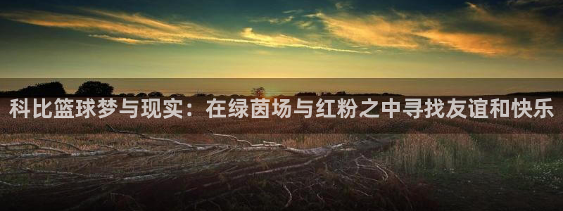 体育星空：科比篮球梦与现实：在绿茵场