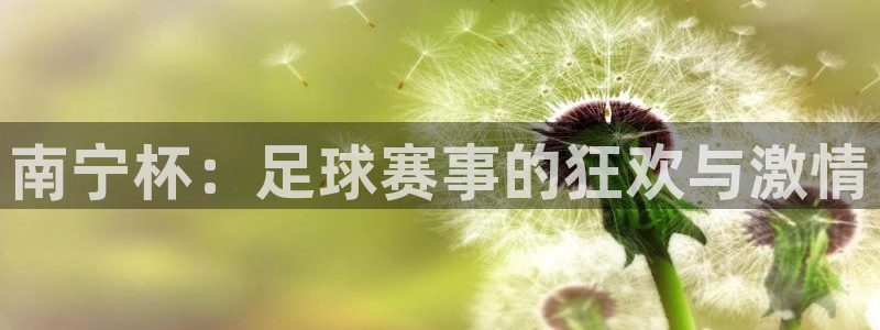 星空体育在线官网：南宁杯：足球赛事的