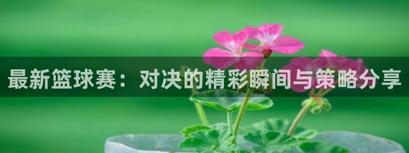 天空体育可信吗：最新篮球赛：对决的精彩瞬间与策略分享