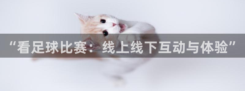 星空体育官网：“看足球比赛：线上线下互动与体验”