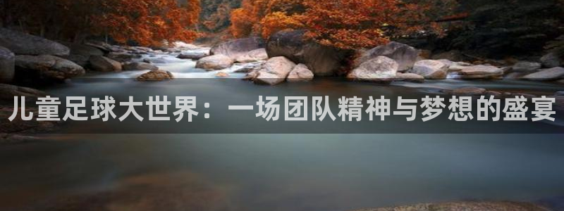  天空体育可信吗：儿童足球大世界：一场团队精神与梦想的盛宴