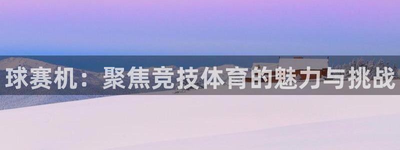  星空·综合体育官网：球赛机：聚焦竞技体育的魅力与挑战