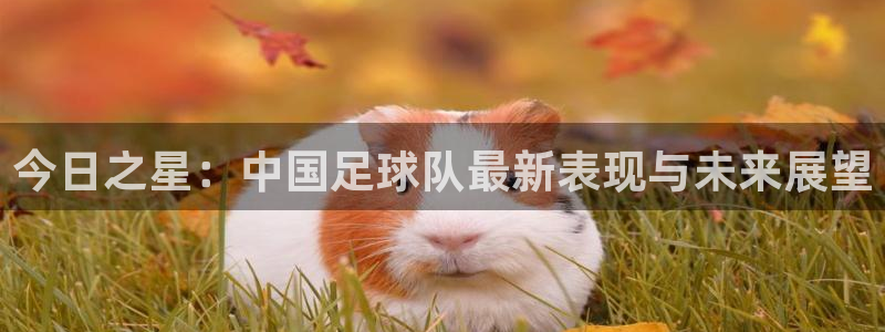星空综合体育官网：今日之星：中国足球队最新表现与未来展望