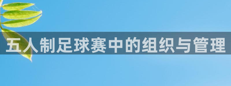  星球体育馆：五人制足球赛中的组织与管理