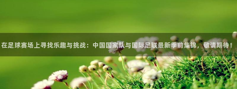 xk星空体育：在足球赛场上寻找乐趣与挑战：中国国家队与国际足